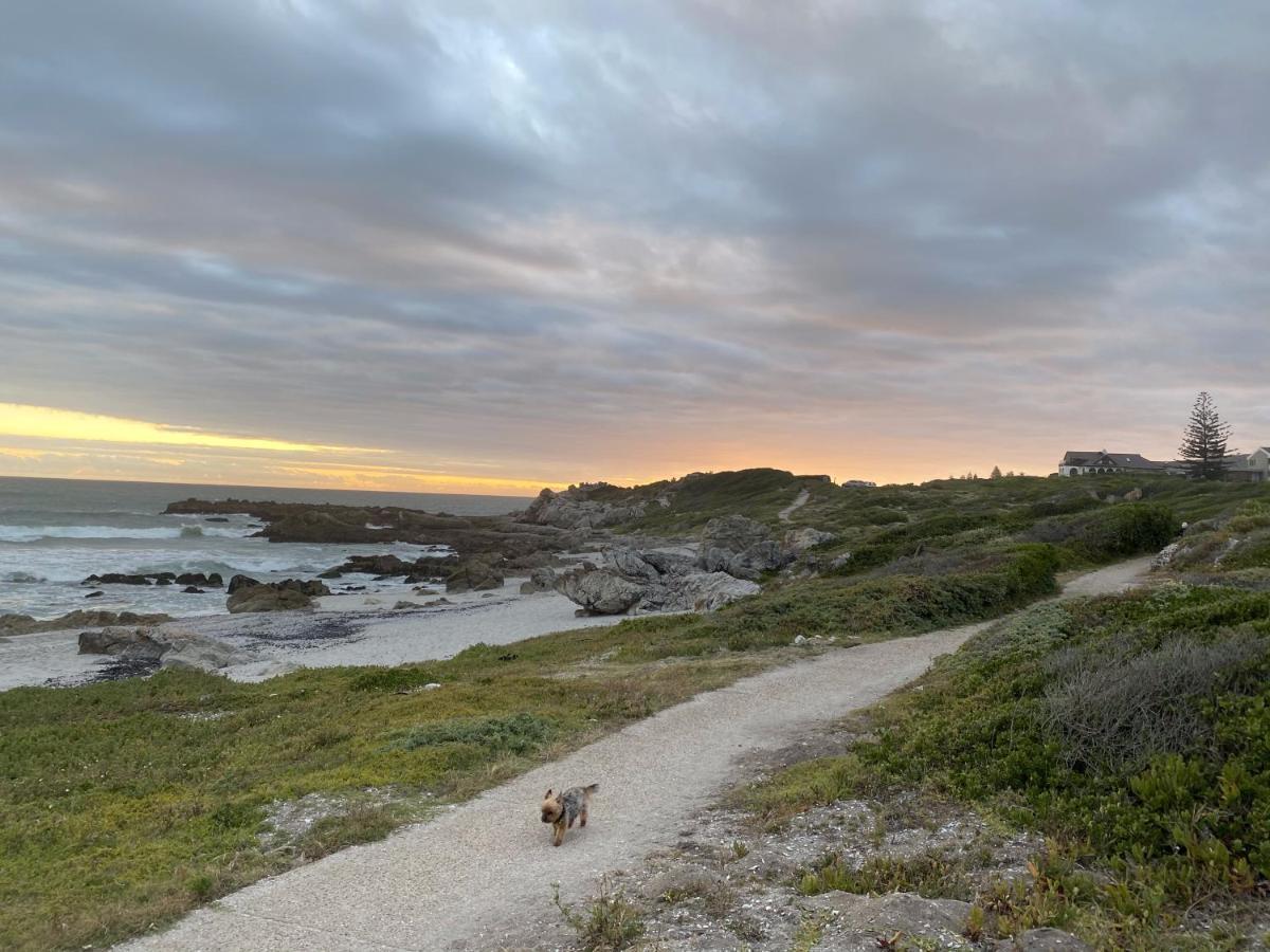 Hermanus 60 On Flat Dış mekan fotoğraf