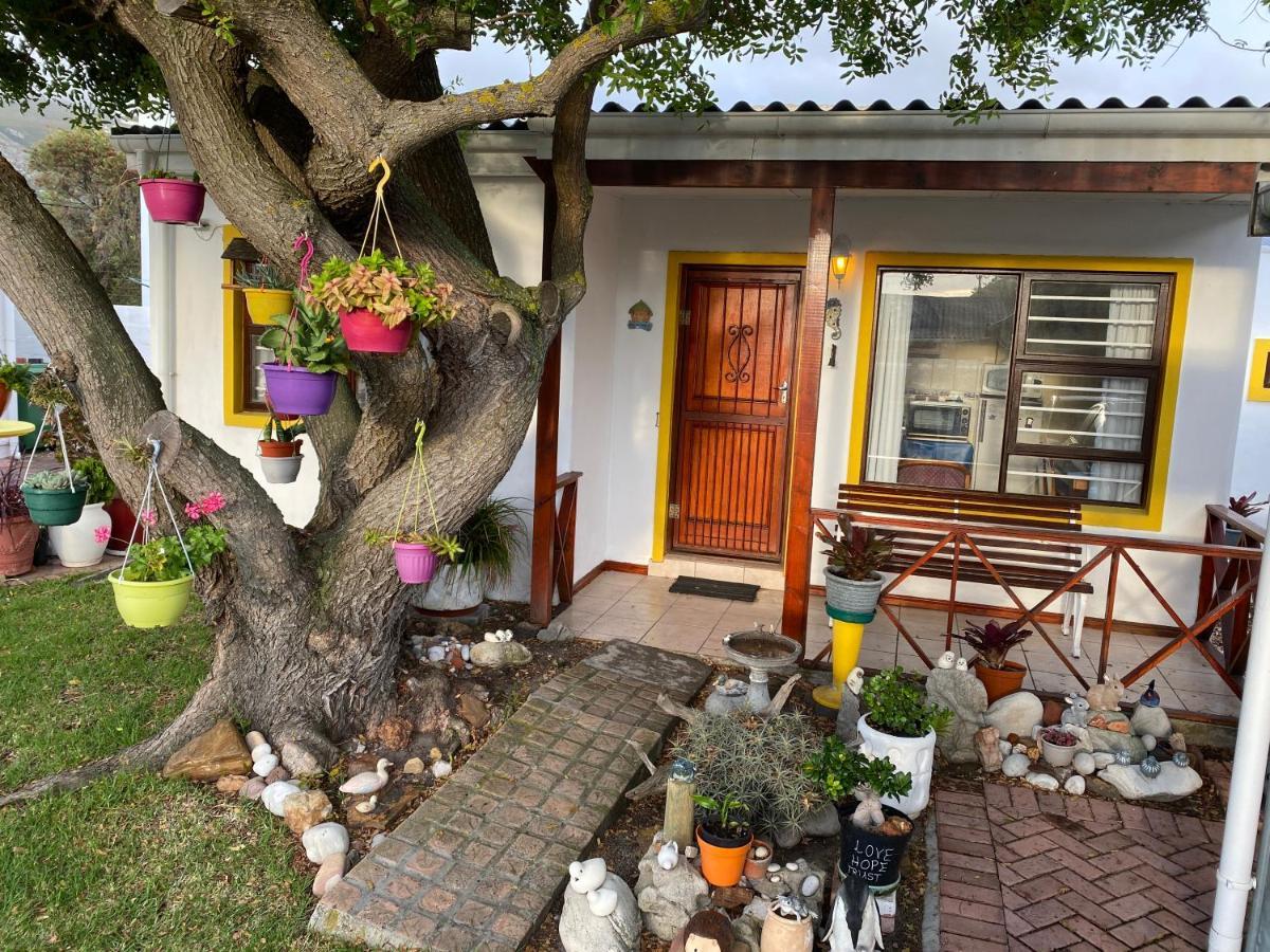 Hermanus 60 On Flat Dış mekan fotoğraf