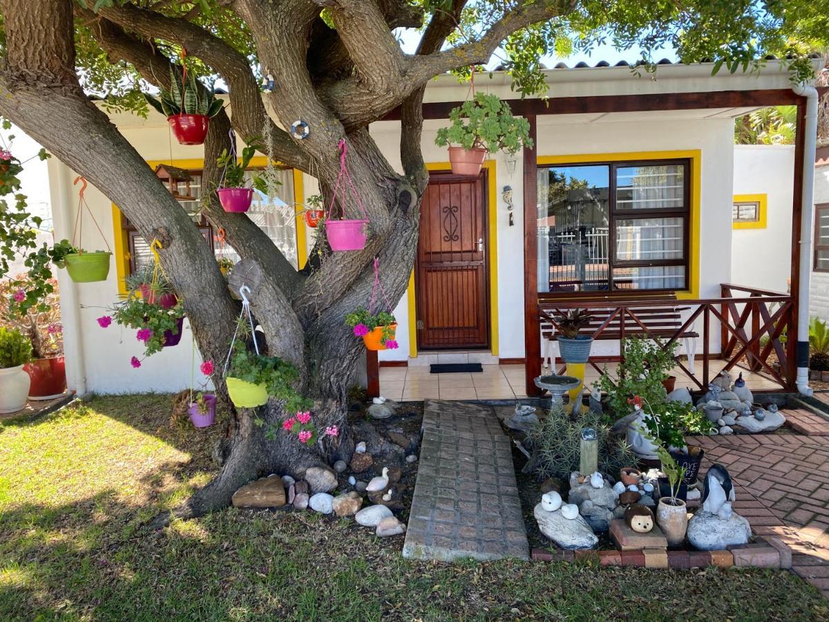 Hermanus 60 On Flat Dış mekan fotoğraf